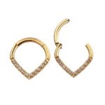 Gold septum rings titanium V shape