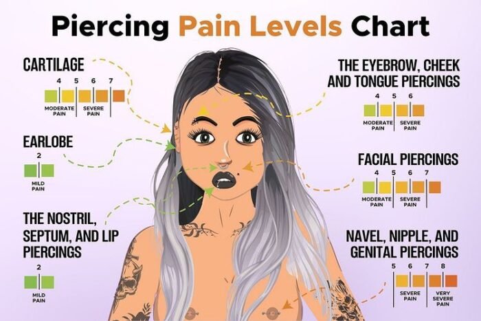 Express Yourself with the World of Face Piercing Chart - The Body Rings